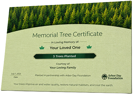 Plant Trees in Memory of Jared Musgrove